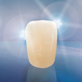composite dental prosthesis / anterior teeth / translucent