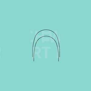 rectangular orthodontic archwire