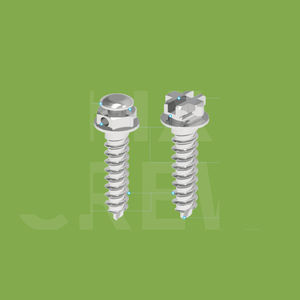 titanium implant screw