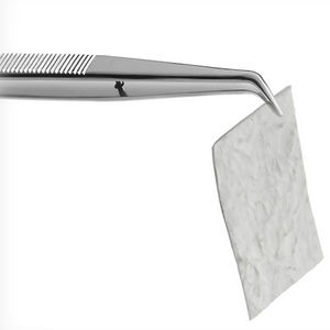 buccal tissue matrix / xenograft