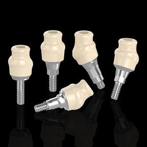 titanium implant abutment 1
