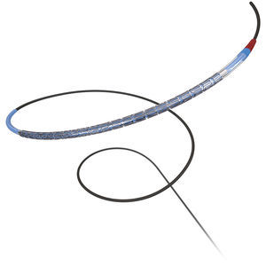 coronary stent 1