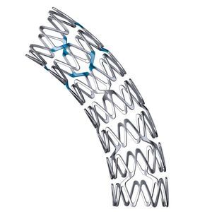 coronary stent 1