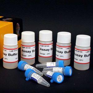cell viability assay kit / for medical research / for live cells / fluorescence