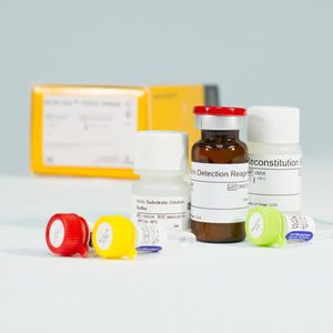 oxidative stress assay kit / for medical research / hydrogen peroxide / cell