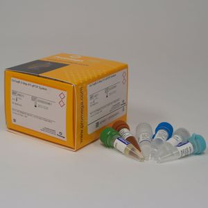 research reagents / for qPCR / dyes / for DNA