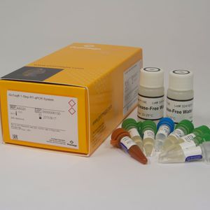 research reagents / for RNA / RT-qPCR