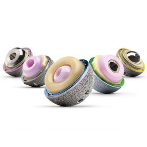 revision acetabular prosthesis 1