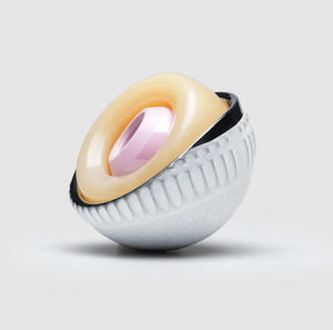 cementless acetabular prosthesis 1