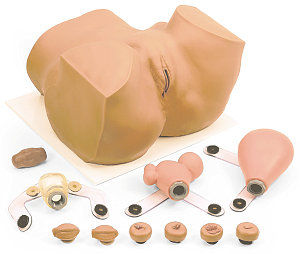 gynecological care training manikin / pelvis