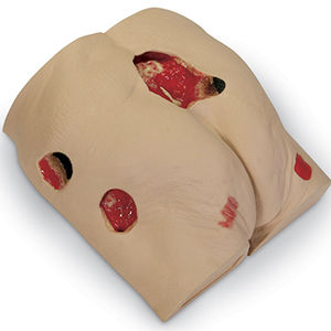 buttock model