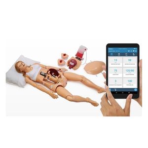 delivery patient simulator 1