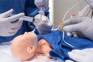 vascular access patient simulator 1