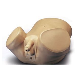prostate examination simulator