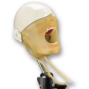 dental care training manikin
