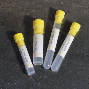 coagulation analysis collection tube / round bottom / blood / sodium citrate