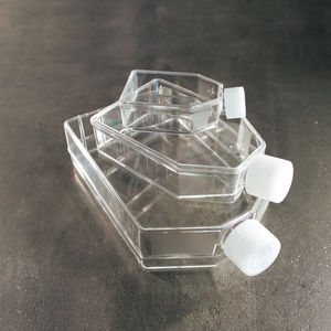 cell culture flask
