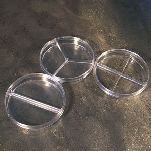 Petri dish with counting grid