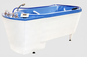 hydromassage bathtub 1