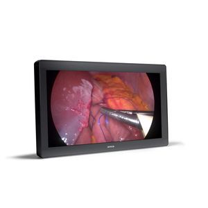 medical display 1
