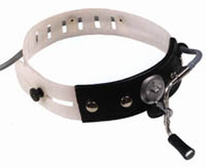 fiber optic headlight