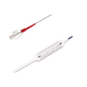 coronary stent 1