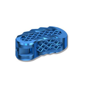 lumbar interbody fusion cage 1