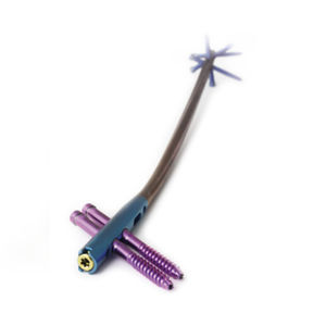 femoral intramedullary nail 1