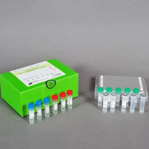 infection test kit