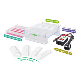 agarose gel electrophoresis system