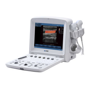 portable ultrasound system