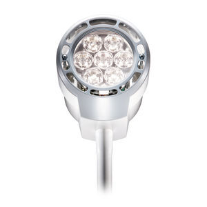 LED examination light