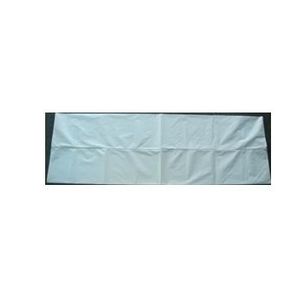 adult size mortuary bag