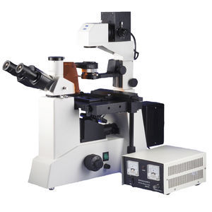 trinocular microscope