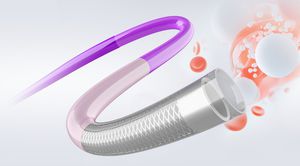 aspirating catheter 1