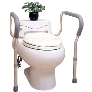 raised toilet seat with armrests