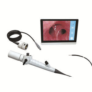 video ureteroscope with working channel