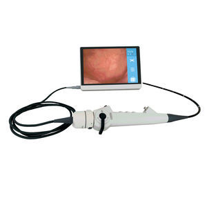 adult cystoscope