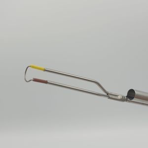 endoscopy electrode