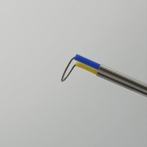 endoscopy electrode