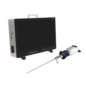 endoscopic camera