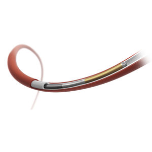 catheter guidewire / coronary