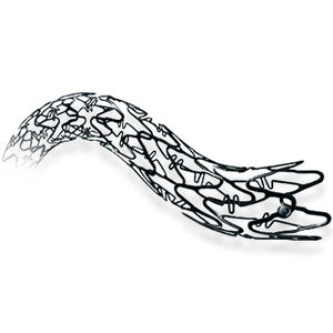 coronary stent