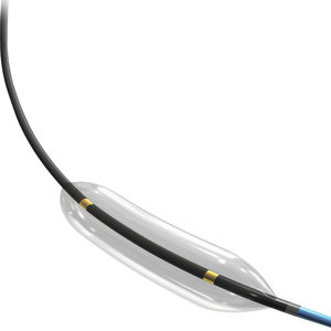 PTCA catheter