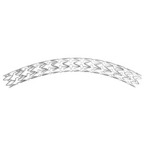 coronary stent