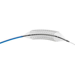 peripheral stent