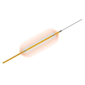 PTCA catheter