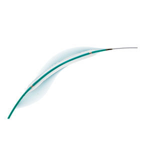 PTCA catheter