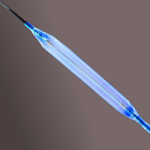 PTCA catheter