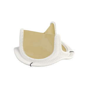 aortic valve bioprosthesis 1